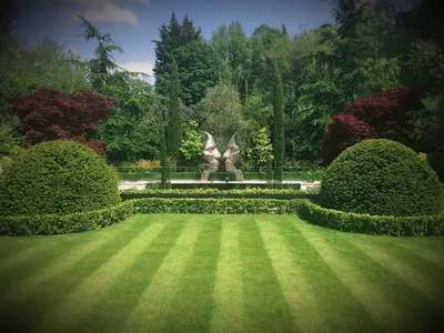 Tip Top Garden Tomasz Tuka